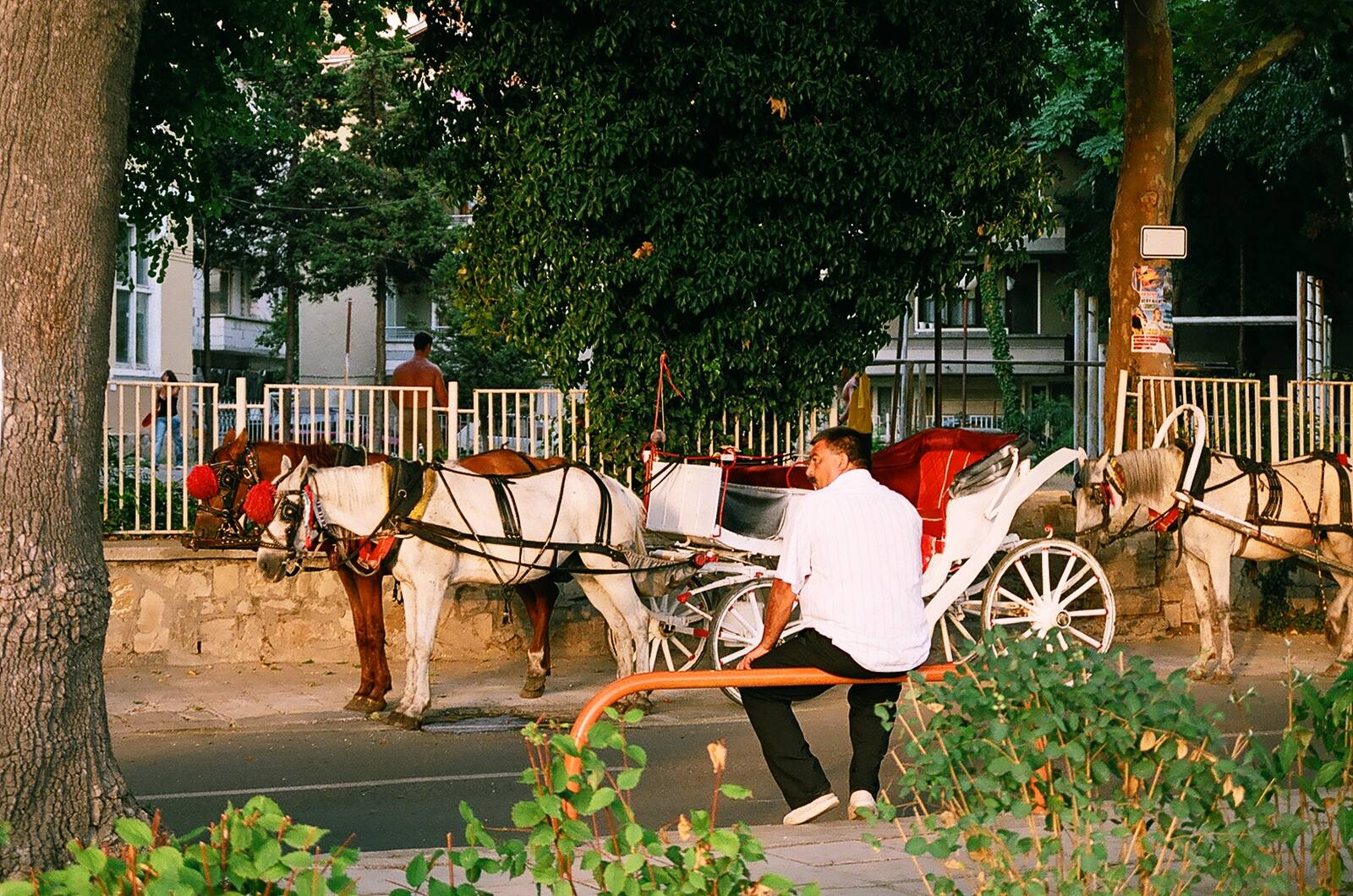 файтонът · the carriage