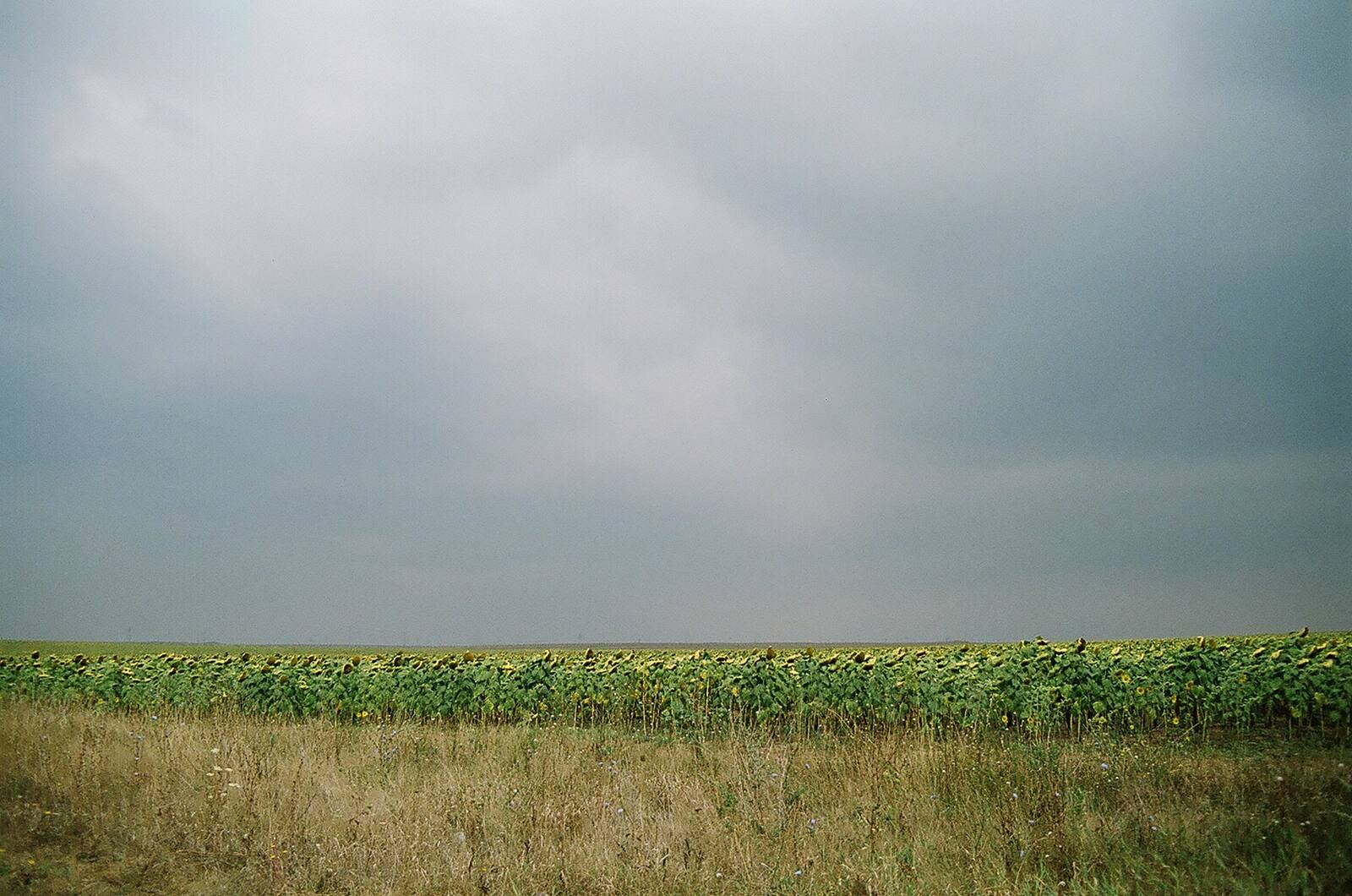 Черно<br>Море