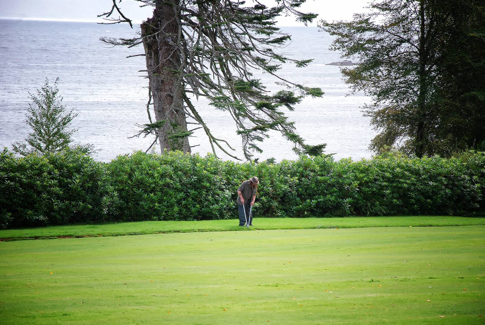 A gardener working the great lawn