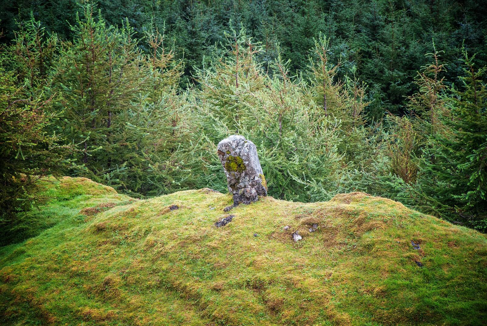 clach chòinnich · mossed boulder