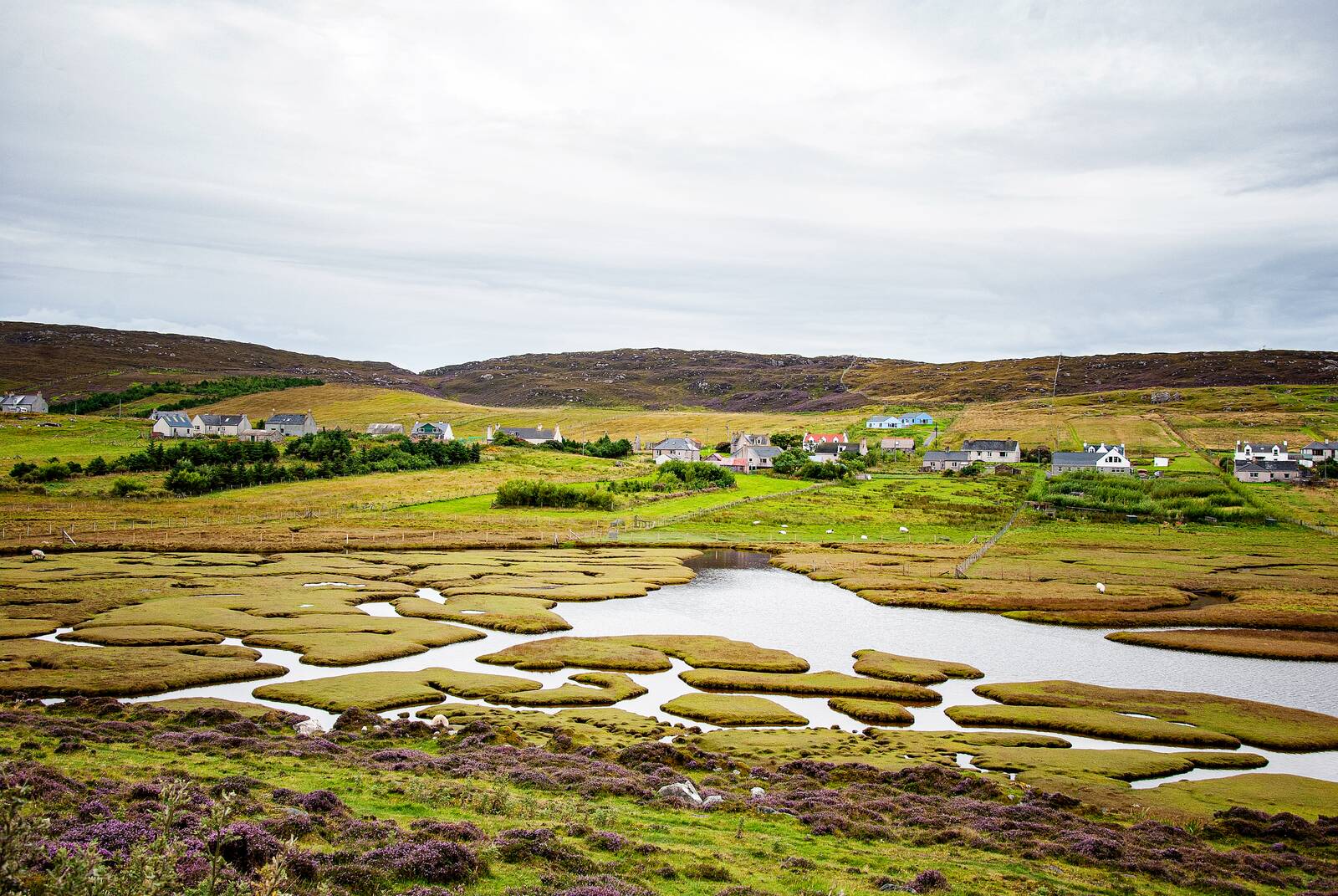 Township over the marsh